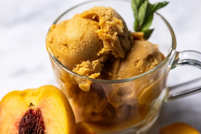AIP Sorbet Paleo Dairy-Free