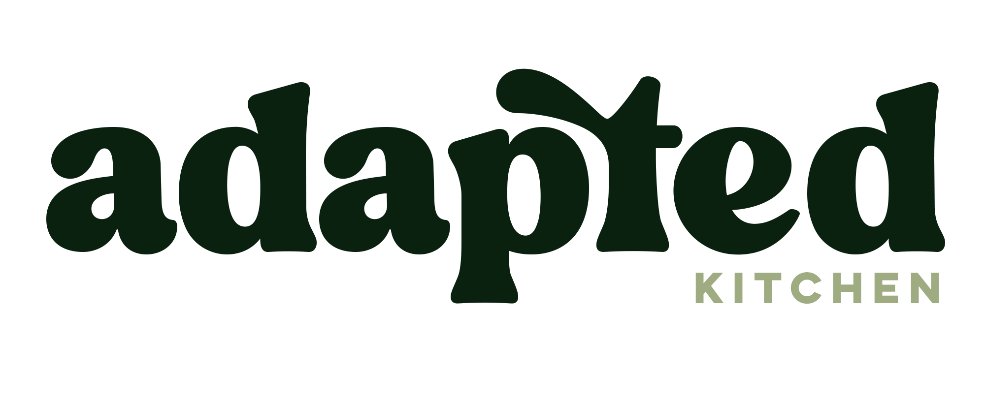 Adapted Kitchen